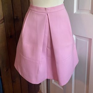 J Crew Center Pleated Skirt